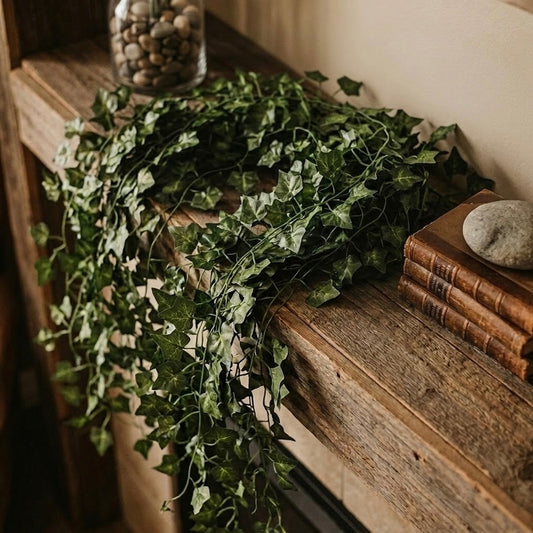 Green ivy leaves on a wooden surface with books and a stone.